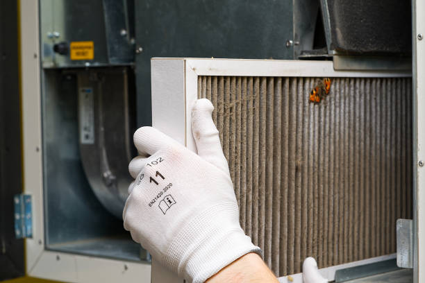 Best Duct Cleaning for Offices  in Valley, NE